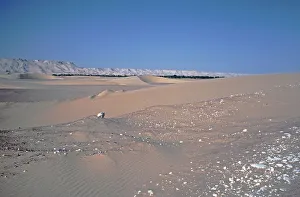 Crescent dunes in front of ad-Dachla Oasis