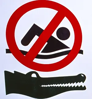 Crocodile advise of not swimming