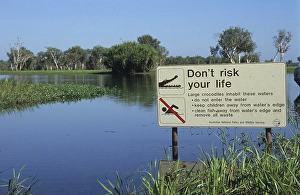 Crocodile warning sign, Northern Territory