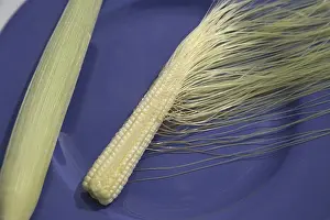 Crop, Baby Corn kept in blue plate