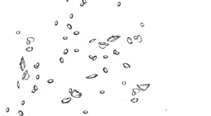 Cropped water drops raindrops rainy mist small droplets drops on transparent translucent background