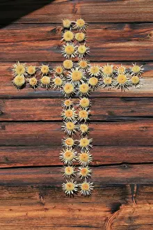 Category Mountain Landscapes Prints: Cross of thistles on alp house