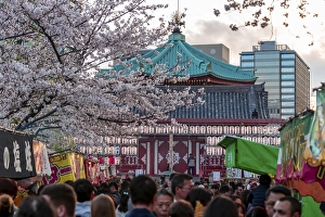 Crowd at Shinobazunoike Bentendo Temple at Hanami Fest