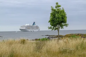 Cruise ship in the sea, lonely tree and grass in the foreground
