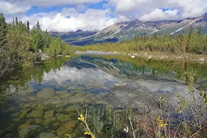 Crystal clear lake reflecting trees and mountains