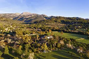 Category Mountain Landscapes Prints: Cultural landscape with finca and flowering almond trees