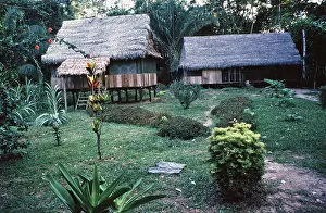 Cumaceba jungle lodge near Iquitos