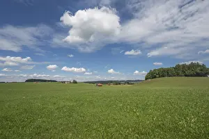 Cumulus, cumulus, cumulus clouds