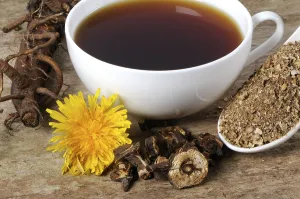 Cup Dandelion Root (Taraxacum officinale) (Taraxacum vulgare)