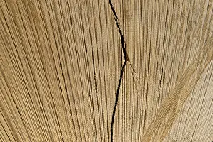 Cut open tree trunk, Switzerland