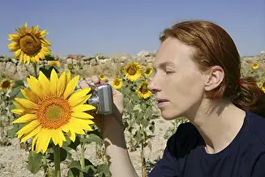 Cute redhead woman photographer taking a picture in nature sunflower field