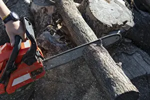 Cutting a log with a powerful chainsaw in action