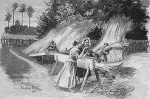 The cutting of shields for processing