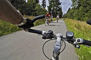 Cycle path with cyclists in Perlacher Forst forest