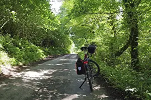 Cycling along a shady forest path surrounded by lush greenery
