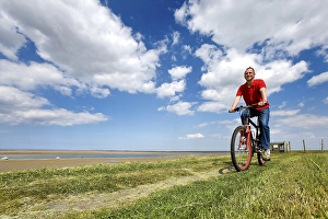 Cyclist on a dike, Foehr, North Frisia