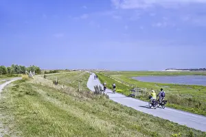 Cyclists cycling along the International Dike looking over saltmarsh