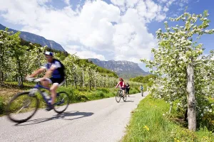 Cyclists on a wine tour, Barleit in Kaltern an der Weinstrasse