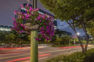 Daejeon, South Korea, June 25