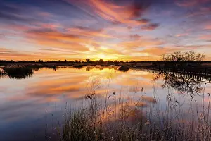 Daimiel Tables National Park, Ciudad Real