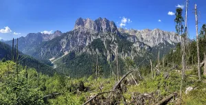 Damage to the forest due to wind breakage in the Berchtesgaden National Park