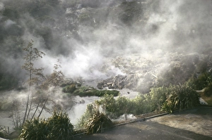 Dampf, der aus den heissen Quellen mit geothermischer Aktivitaet im Maori-Dorf Te Whakarewarewa, Rotorua, Neuseeland, aufsteigt, 1974