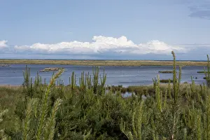 DarBer Ort, Cumulus clouds