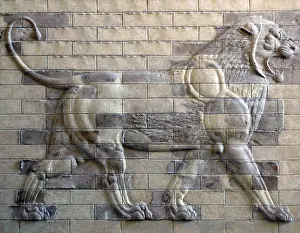 Darius I (550 - 486 BCE)