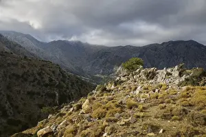 Dark cloud cover hangs over a wild mountain landscape