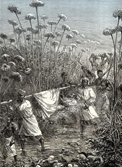 David Livingstone being carried to the village of Tchitammbo