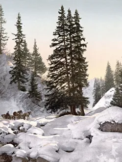 Davos, in winter, Graubuenden, Switzerland