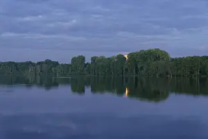 Deciduous forest on the water, Krickenbecker Seen nature park Reserve