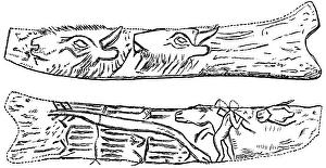 Decorated reindeer antlers, possible location the archaeological excavations of Abri de la Madeleine, Dordogne, animal representations, Early Stone Age, man, palaeontology, history of mankind, France, historical illustration1880, Europe