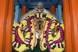 Decorated Urchava deities of Subrahmanya consorts Valli Devayanai Deivanai Karthigai Arunachaleshwara temple