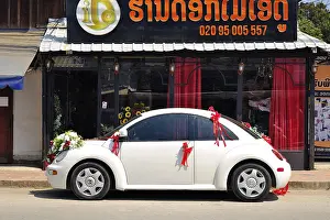 Category Historic EN Prints: Decorated wedding beetle in front of a flower shop
