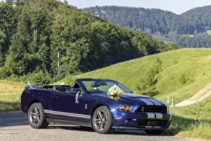 Decorated wedding car, Ford Mustang Shelby GT500