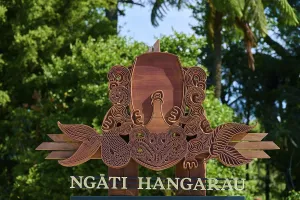 Decorated wooden sign with Maori motifs
