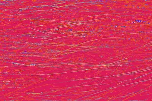 Decorative animal fur as a background texture