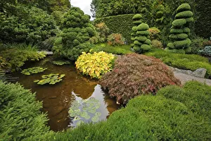 Decorative Japanese garden. A stream