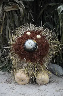 A decorative lion made of pumpkins and straw in an autumn environment
