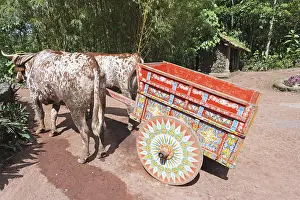 Category Wildlife DE Prints: Decorative ox-cart, Costa Rica, Central America