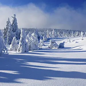 Deep snow-covered untouched winter landscape