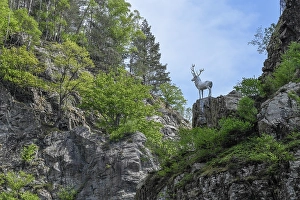 Category Mountain Landscapes Prints: Deer monument at Hirschsprung in the Hoellental