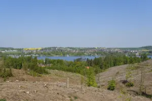 Deforested spruce forest, Arnsberg Forest nature Park
