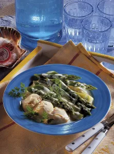 Delicate scallops, France, Europe