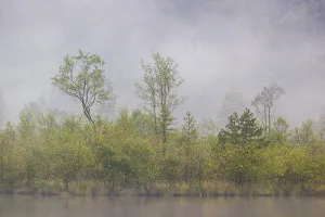 Dense fog on a lake on an early fall morning