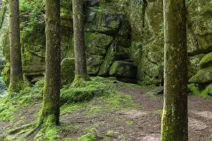 Dense trees and mossy rocks create a mystical atmosphere in a section of forest Stillenbachklamm Muhlviertel Upper