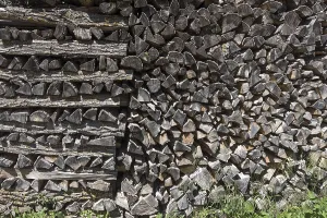Deposited stacked logs, Bavaria Germany