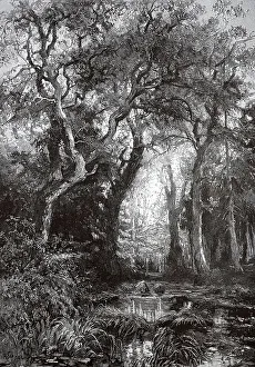 Der Maerkische Wald, Brandenburg