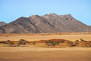 Desert landscape, red sand dunes and mountains